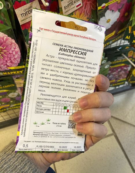 астра пионовидная Импрессия